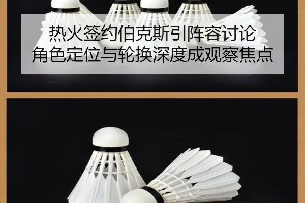 热火签约伯克斯引阵容讨论 角色定位与轮换深度成观察焦点